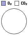 bdata_005.gif